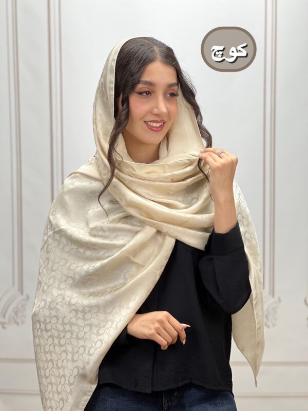 شال ژاکارد میکس استخوانی کد 4277 - Image 3